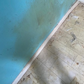 Pre Build Cleaning Bo ness